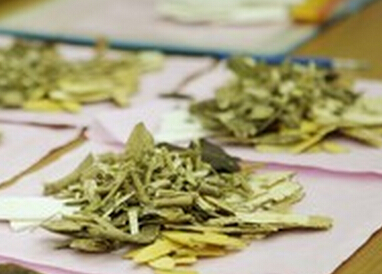 脓疱型牛皮癣中药
